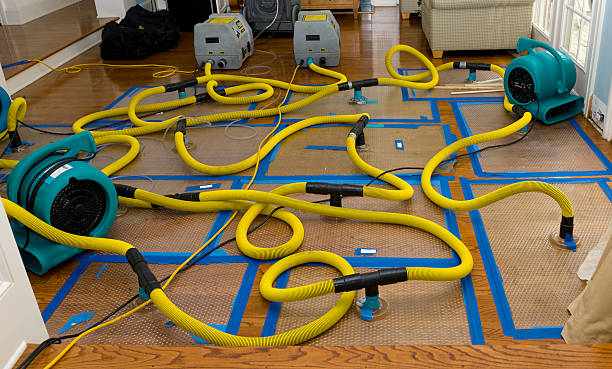 Professional Structural Drying And Dehumidification technician working in Parsons, TN